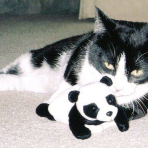 Meet your Posher, Catherine